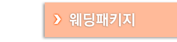 웨딩패키지